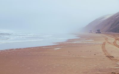 Exploring the Skeleton Coast: Namibia’s Misty, Mysterious Desert Coastline 🏖️💀