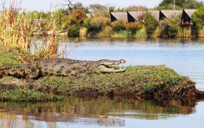 The Caprivi Strip: Namibia’s Wet and Wild Side of Adventure 🌿🐊
