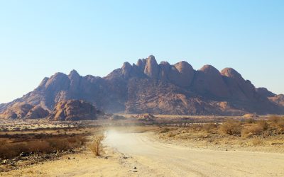 Discovering Damaraland: Namibia’s Land of Rock Art, Desert Elephants, and Timeless Landscapes 🏜️🦏